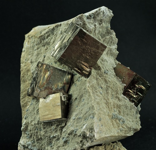 Pyrites in matrix